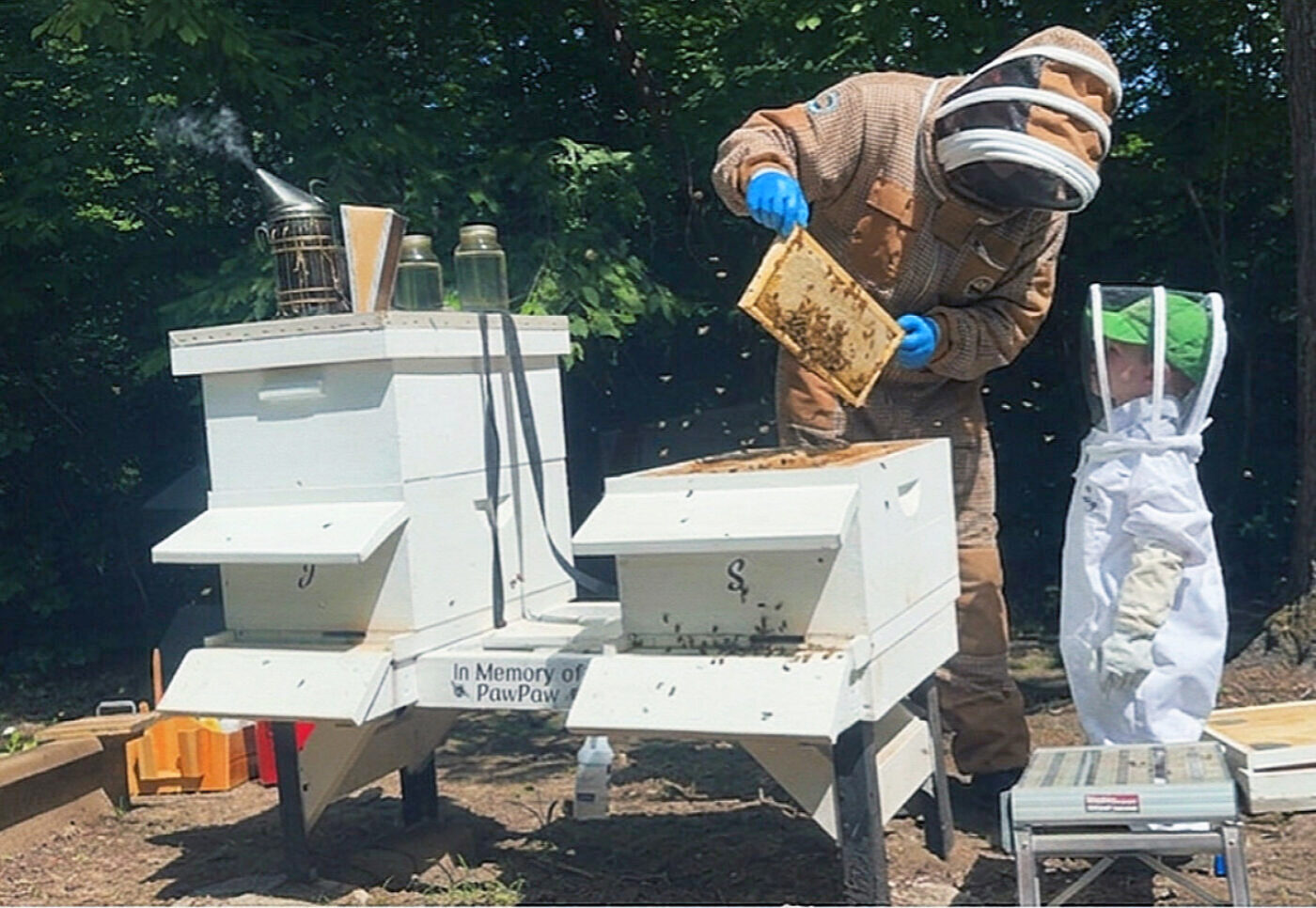 Josh and Sawyer inspecting hives at the Bootstrap Beekeeping memorial apiary in Cherokee County Alabama
